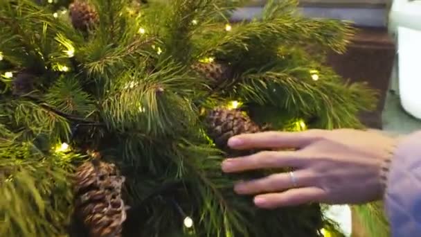 Жінка гладить різдвяний вінок з гілок соснового дерева сосновими шишками і лампочками. Новорічний фон . — стокове відео