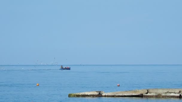 ADLER, RÚSSIA - 14 de outubro de 2010. Pescadores pescados no mar, um bando de gaivotas famintas os segue . — Vídeo de Stock