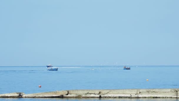 ADLER, RUSIA 14 de octubre de 2010. Pescadores pescados en el mar, una bandada de gaviotas hambrientas les sigue . — Vídeos de Stock