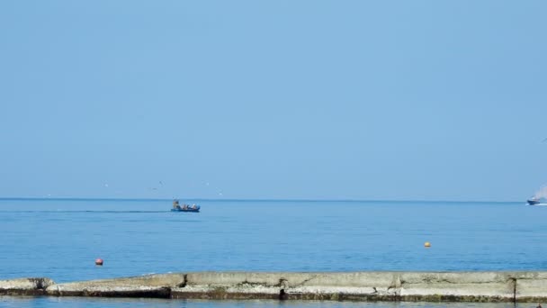 ADLER, RUSIA 14 de octubre de 2010. Pescadores pescados en el mar, una bandada de gaviotas hambrientas les sigue . — Vídeos de Stock