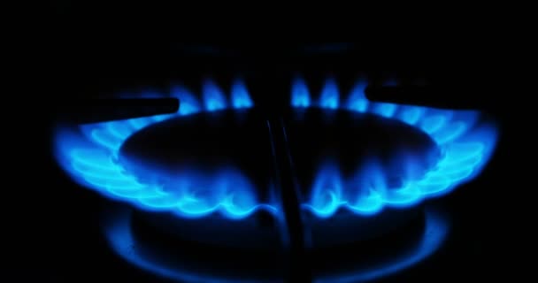 Μπλε φλόγες ενός αερίου σε αέριο κουζίνα. Φωτιά σε φούρνο στο σκοτάδι. — Αρχείο Βίντεο