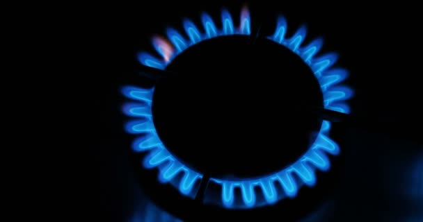 Gáz Gáz Tűzhely Kék Lángok Kályha Sötétben Tűz — Stock videók