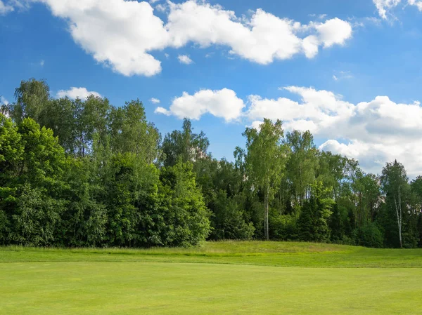 Countryside Golf Course Green Cutted Grass Field Forest Blue Sky — Stock Photo, Image