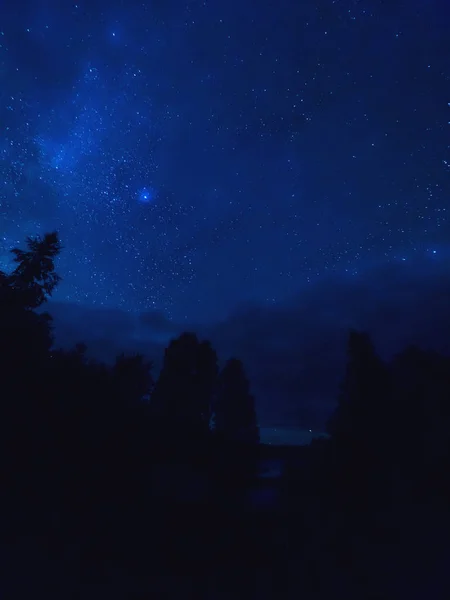 Voie Lactée Traces Étoiles Sur Forêt Ciel Étoilé Par Temps — Photo