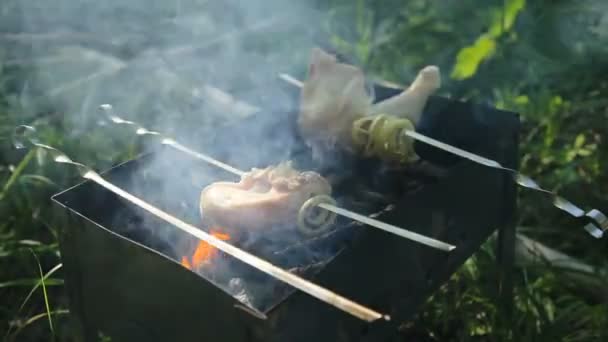 Hühnerstücke werden auf Spießen auf dem Grill gebacken. Hühnerschenkel grillen. Grillen im Sommer. — Stockvideo