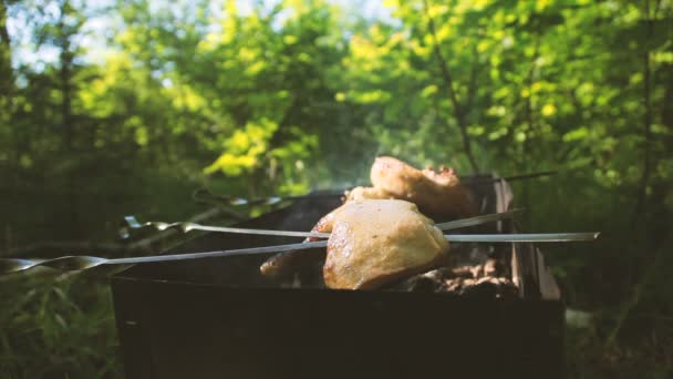 Trozos de pollo se hornean en brochetas en la parrilla. Barbacoa de muslo de pollo. Barbacoa al aire libre en verano . — Vídeos de Stock