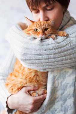 Örme kazak holding şirin zencefil kedi adam. Pet evlat edinmek. Kedi nasıl sokak ev vardır. Tüylü hayvan şaşkın görünüyor.