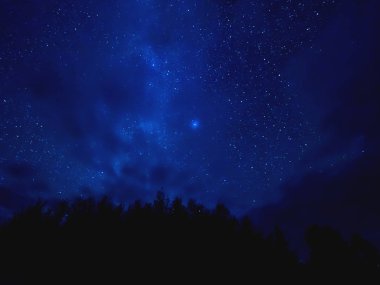 Yıldız ağaçların tepesine izler. Yıldızlı gece gökyüzü bulutlu havalarda. Kenozersky Milli Parkı, Arkhangelsk region, Rusya Federasyonu.