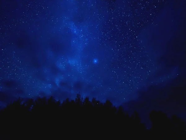 Huellas Estelares Sobre Los Árboles Cielo Nocturno Estrellado Clima Nublado — Foto de Stock