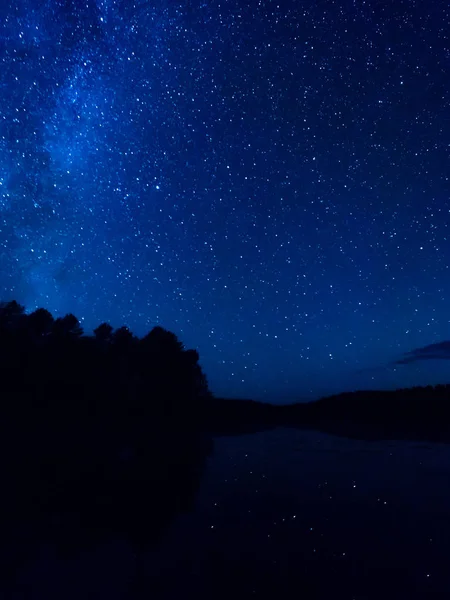 Des Traces Étoiles Sur Les Arbres Lac Ciel Étoilé Par — Photo