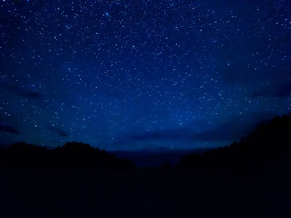 Trilhas Estelares Topo Das Árvores Céu Estrelado Noite Tempo Nublado — Fotografia de Stock