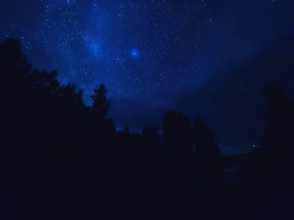 Sternenspuren Auf Bäumen Und See Sternenklarer Nachthimmel Bei Bewölktem Wetter — Stockfoto