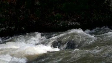 Borjomi şehirde, Georgia ülke hızlı dağ nehir akar.