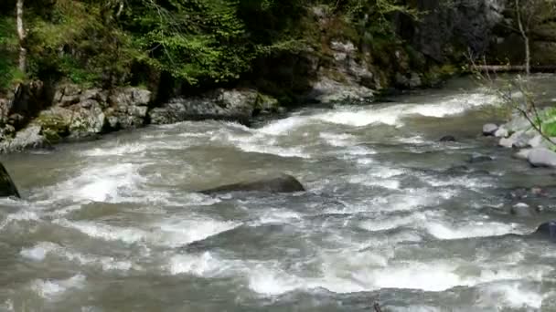 Snelle berg rivier stroomt rond Borjomi stad, land van Georgië. — Stockvideo