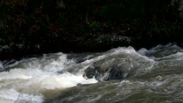 Rychlá horská řeka teče kolem město Borjomi, Georgia země. — Stock video