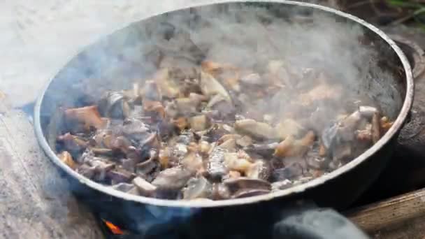 Koken paddestoelen op koekenpan. Zomer kamperen op het strand. Kenozero Nationaalpark, Rusland. — Stockvideo