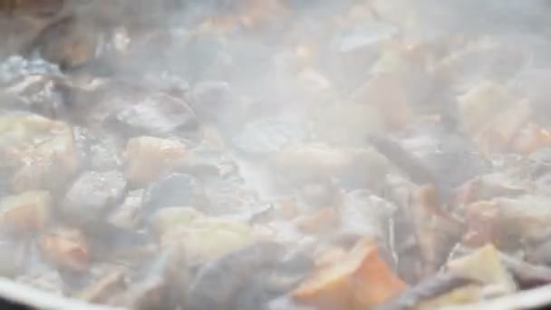 Koken paddestoelen op koekenpan. Zomer kamperen op het strand. Kenozero Nationaalpark, Rusland. — Stockvideo