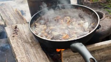 Tava üzerinde mantar yemek. Kumsalda kamp yaz. Kenozero Milli Parkı, Rusya Federasyonu.