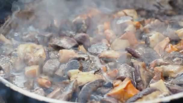 Cozinhar cogumelos na frigideira. Camping de verão na praia. Kenozero National Park, Rússia . — Vídeo de Stock