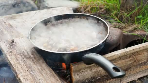 Cocinar las setas en la sartén. Camping de verano en la playa. Parque nacional Kenozero, Rusia . — Vídeo de stock