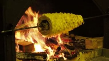 Sakotis veya raguolis, ağaç kek veya dallı pasta, kek, açık ateşte pişmiş-Litvanya geleneksel tükürmek.