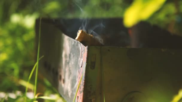 Dřevo hoří v grilu. Příprava na vaření grilování, letní slunečný den. — Stock video