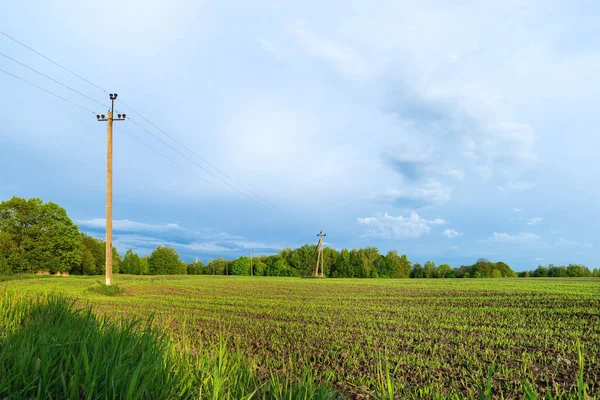 Campagne Champ Fond Naturel Herbe Verte Ciel Bleu Paysage Nuageux — Photo