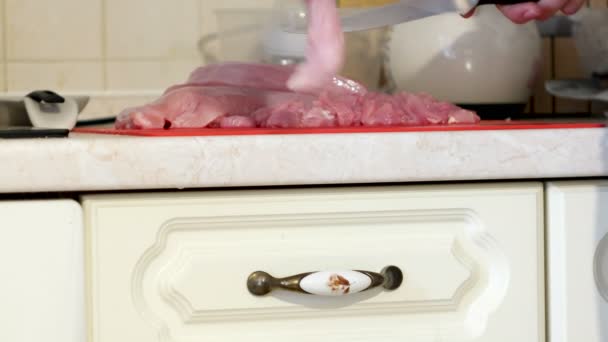 Женщина режет сырое мясо. Симпатичный рыжий кот, пытающийся стащить кусок мяса. Пушистый питомец на кухне . — стоковое видео