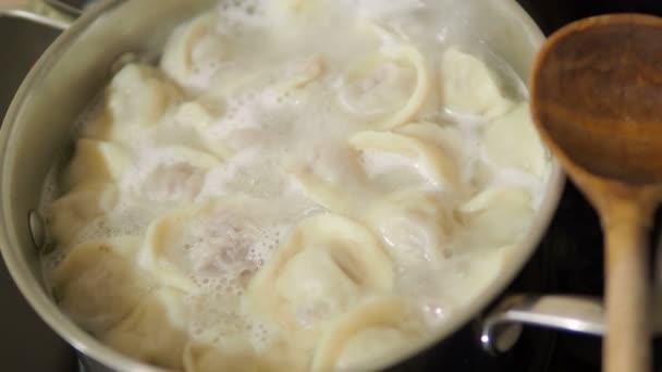 Klöße kochen. heißes Wasser mit traditionellem Gericht der russischen Küche. — Stockvideo