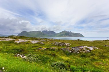 Çayırları, dağları ve köyü olan güzel bir İskandinav manzarası. Lofoten Adaları, Norveç.