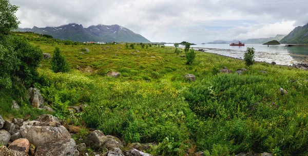 Prachtige Scandinavische landschap met weiden, bergen en fjorden. Lofoten eilanden, Noorwegen. — Stockfoto