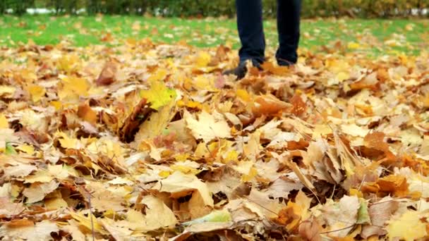 Woman kicks the fallen maple leaves in park. Autumn outdoor activities.