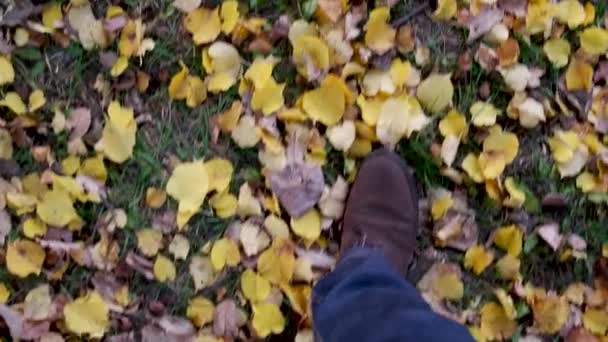 La mujer patea las hojas de arce caídas en el parque. Otoño actividades al aire libre . — Vídeos de Stock