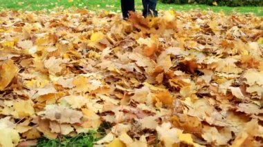 Kadın parkta düşmüş akçaağaç yaprakları başladı. Sonbahar açık hava etkinlikleri.