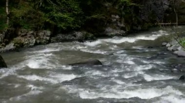 Borjomi şehirde, Georgia ülke hızlı dağ nehir akar.