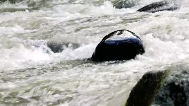 Schnelle Gebirgsfluss fließt um borjomi Stadt, Georgien Land. — Stockvideo