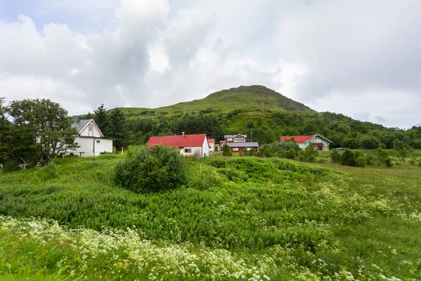 Красивый скандинавский пейзаж с лугами, горами и деревней. Лофотенские острова . — стоковое фото
