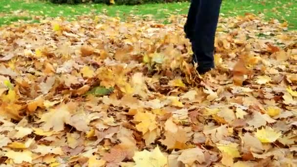 Vrouw schopt de gevallen esdoorn bladeren in het park. Herfst activiteiten in de buitenlucht. — Stockvideo