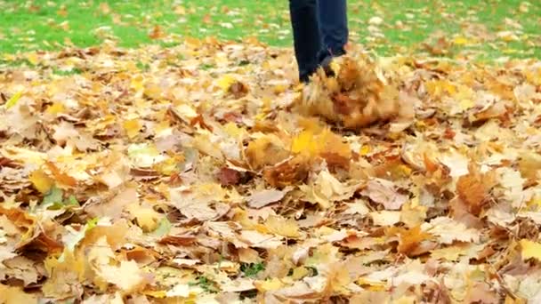 Woman kicks the fallen maple leaves in park. Autumn outdoor activities. — Stock Video