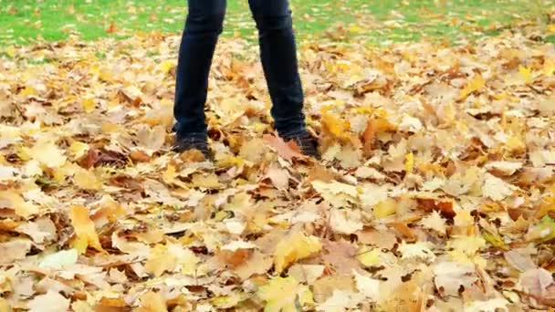 Woman kicks the fallen maple leaves in park. Autumn outdoor activities. — Stock Video
