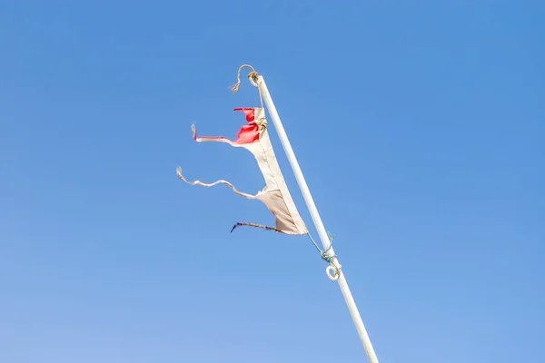 Déchiré drapeau national de l'Egypte bat dans le vent au-dessus du bo — Photo