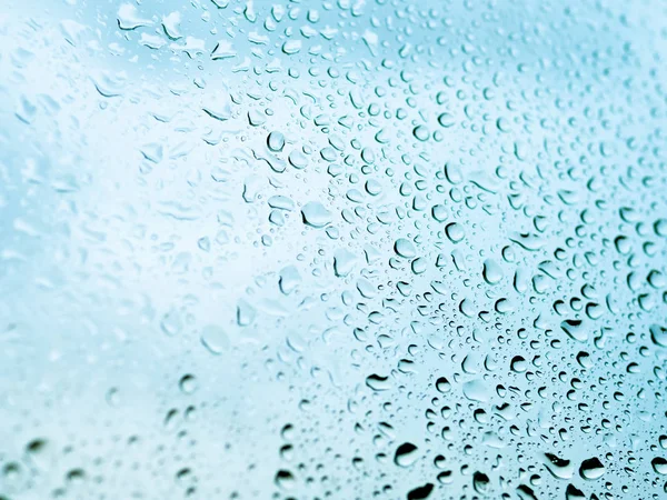 Rain drops on glass. Silhouettes of light blue water drops on a transparent surface.