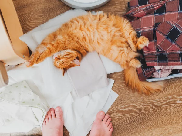 Lindo gato jengibre acostado en la ropa. Meterse en la habitación, trajes acostados en el desorden en el suelo . — Foto de Stock