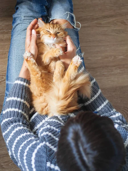 Lindo gato de jengibre dormitando sobre rodillas de mujer. Mujer con jeans rotos acariciando a su peluda mascota. Acogedora casa. Vista superior . — Foto de Stock