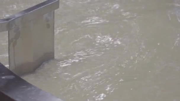 Cheese factory. Process of fermentation of milk and whey separation in tank. Flat profile. — Stock Video