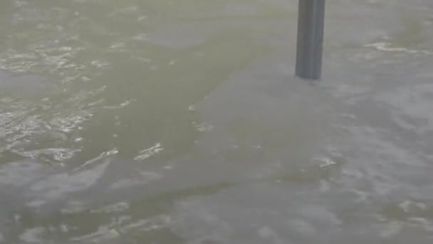 Une fromagerie. Procédé de fermentation du lait et séparation du lactosérum en cuve. Profil plat .