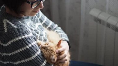 Kadın kolları üzerinde Dozer sevimli zencefil kedi. Gri kazak kadın onu kabarık Pet okşayarak. Rahat ev.