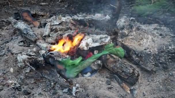 Fogata en madera. Quemar basura en un fuego abierto después de la comida. El cuidado del medio ambiente . — Vídeos de Stock