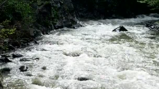 Sungai Cepat gunung mengalir di sekitar kota Borjomi, negara Georgia . — Stok Video