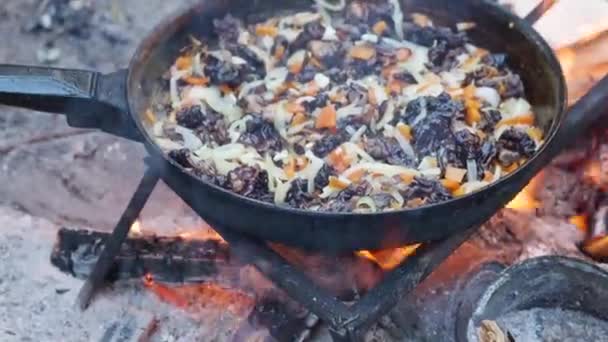 Touristen braten Pilze und Zwiebeln in einer Pfanne über dem Feuer. Lagerfeuer im Wald. — Stockvideo